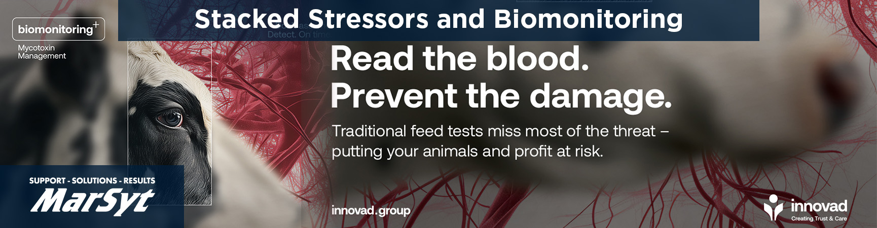 MarSyt Stacked Stressors and Biomonitoring