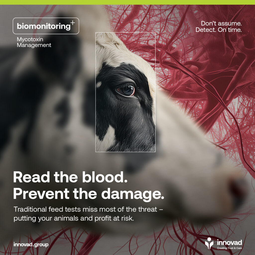 Read the Blood - Innovad